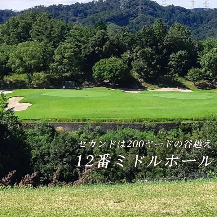 新大阪ゴルフクラブ平日別優待プレー券（1名様×1枚） ／ ゴルフ ゴルフコース プレー券 ゴルフ場 ゴルフ場利用券 優待券 チケット 券 スポーツ 運動 絶景 大阪府 No.013