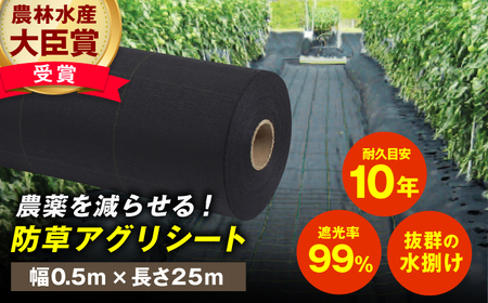 防草アグリシート（BB2218・耐久目安10年・幅0.5m×長さ25ｍ）/ 防草シート 除草[AFCA009]