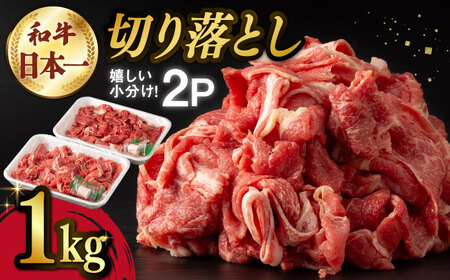 【日本一の和牛】牛肉 切り落とし 長崎和牛 計1.0kg （500g×2パック）【肉のマルシン】 [FG06] 切り落とし 肉 牛肉 切り落とし 赤身 小分け 切り落とし しゃぶしゃぶ すき焼き 切り落とし