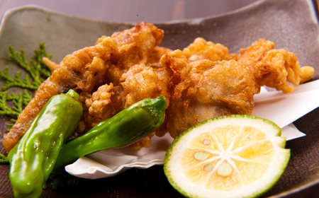 下関発！天然ふぐ刺身 5人前・ふぐ唐揚600g ～しものせき食彩工房～ ( ふぐ フグ まふぐ マフグ 刺身 さしみ 刺し身 唐揚げ からあげ カラアゲ ふぐ刺し フグ刺し ふぐ刺身 天然ふぐ 天然フ