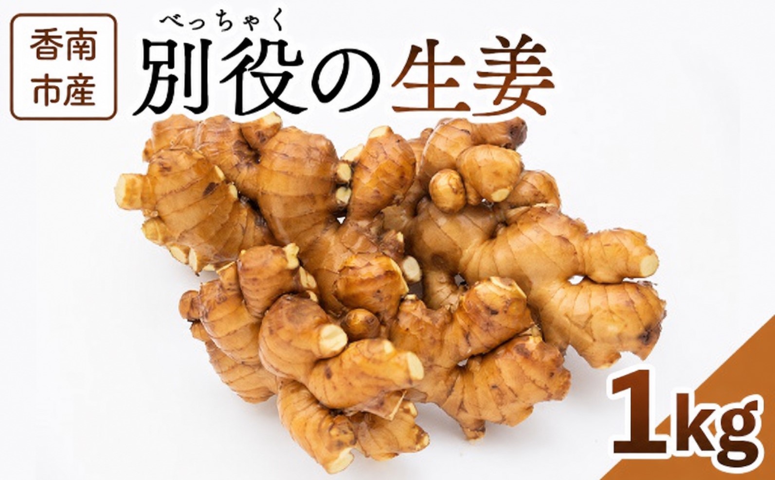 生姜1kg 香南市産 別役の生姜 - 生姜 しょうが ショウガ ジンジャー 薬味 調味料 国産 株式会社べっちゃく 高知県 香南市 生姜焼き bc-0033
