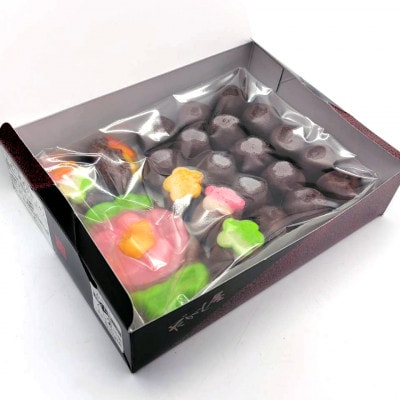 【青森市伝統駄菓子】あん玉くじ(あん玉当て)16個入×1箱　ねぶた化粧箱【配送不可地域：離島】【1608837】