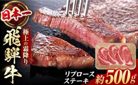 飛騨牛 ステーキ用計500g 白川町 / 浅井商店[AWBJ007] 飛騨牛