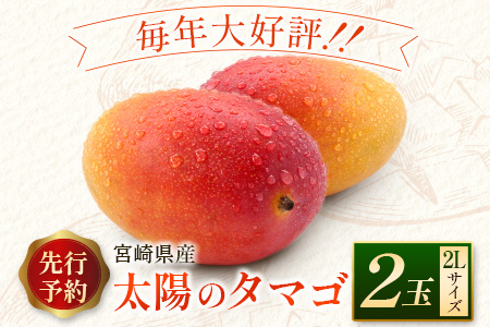2027年出荷 太陽のタマゴ2Lサイズ 2玉 完熟マンゴー 宮崎 C218-27