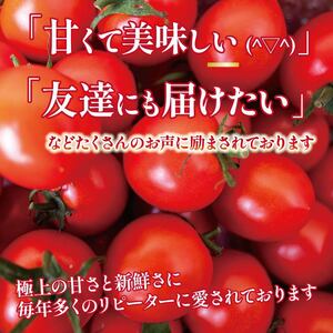 新鮮トマト 3kg 【安田町産】 ｜ トマト TR-04