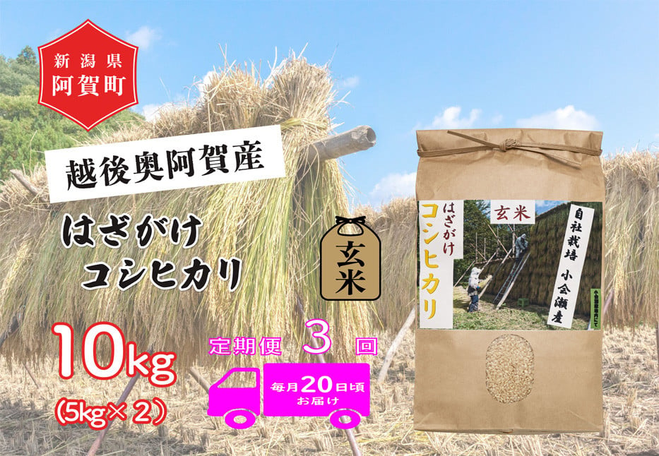 
            《令和6年産米》【定期便】3回　越後奥阿賀産はざがけ（天日干し）コシヒカリ　玄米10kg（5kg×2袋）
          