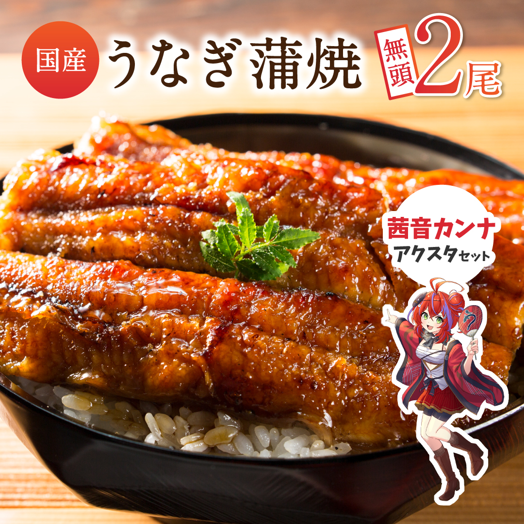 [JRE限定 ななしいんくコラボ返礼品]［2025年11月お届け］うなぎ 鰻楽 国産 蒲焼 2尾 計240g以上（120g×2尾）茜音カンナアクリルスタンド付 おすすめ 冷凍 簡単調理 個包装 鰻 魚介【B666-VTuber2】