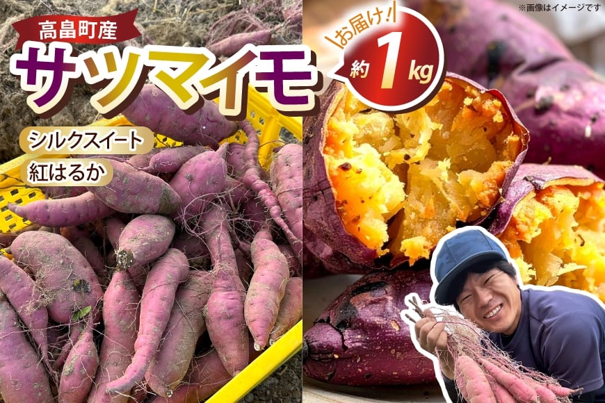 
            【期間限定発送】 さつまいも 2種 紅はるか シルクスイート 詰め合わせ 約1kg (4〜6本) [農家の店しゃんくすろーど 山形県 高畠町 tk06bcz250002] 芋 サツマイモ いも 野菜 やさい セット
          