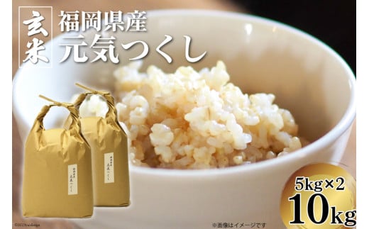 米 令和7年 元気つくし 玄米 5kg × 2袋 計 10kg [ベネフィス 福岡県 筑紫野市 21760853] 令和7年産 お米 福岡県産 穀物 もちもち