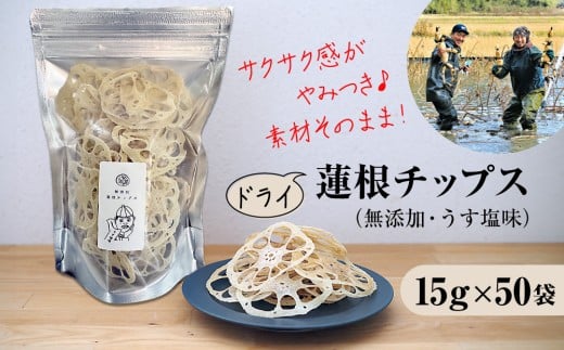無添加・うす塩味　人間用乾燥蓮根チップス１５g　５０袋セット