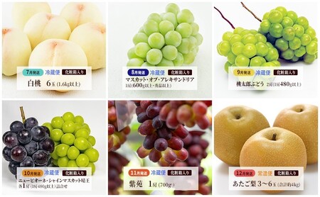 フルーツ 定期便 2026年 先行予約  晴れの国 岡山 の 旬の フルーツ 定期便 6回コース 白桃 ぶどう 梨 岡山県産 国産 フルーツ 果物 ギフト 