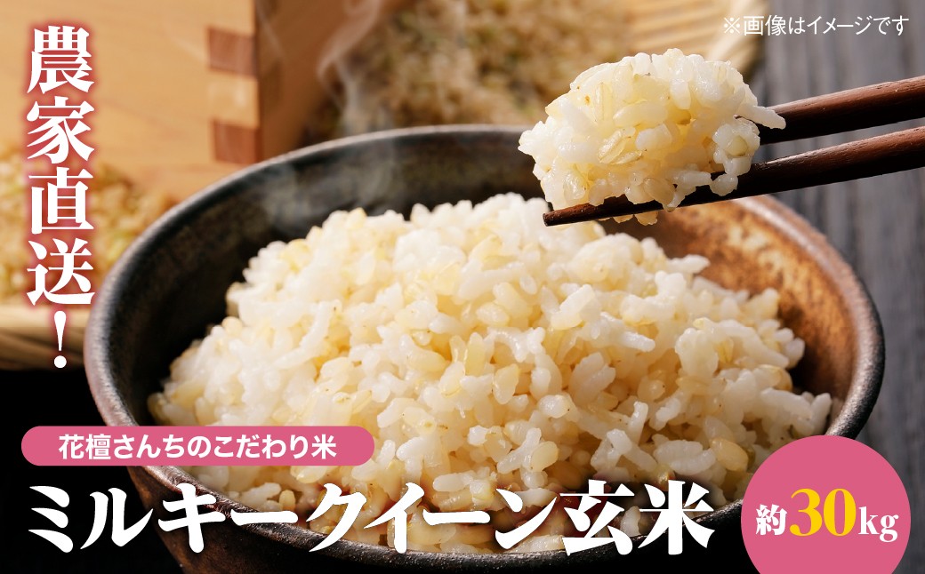
                  農家直送! 花檀さんちのこだわり米 ミルキークイーン玄米30kg ／米 お米 玄米 ミルキークィーン ブランド米 おにぎり お弁当 粘り気 モチモチ 千葉県 千葉県産 山武市 SMDG001
                