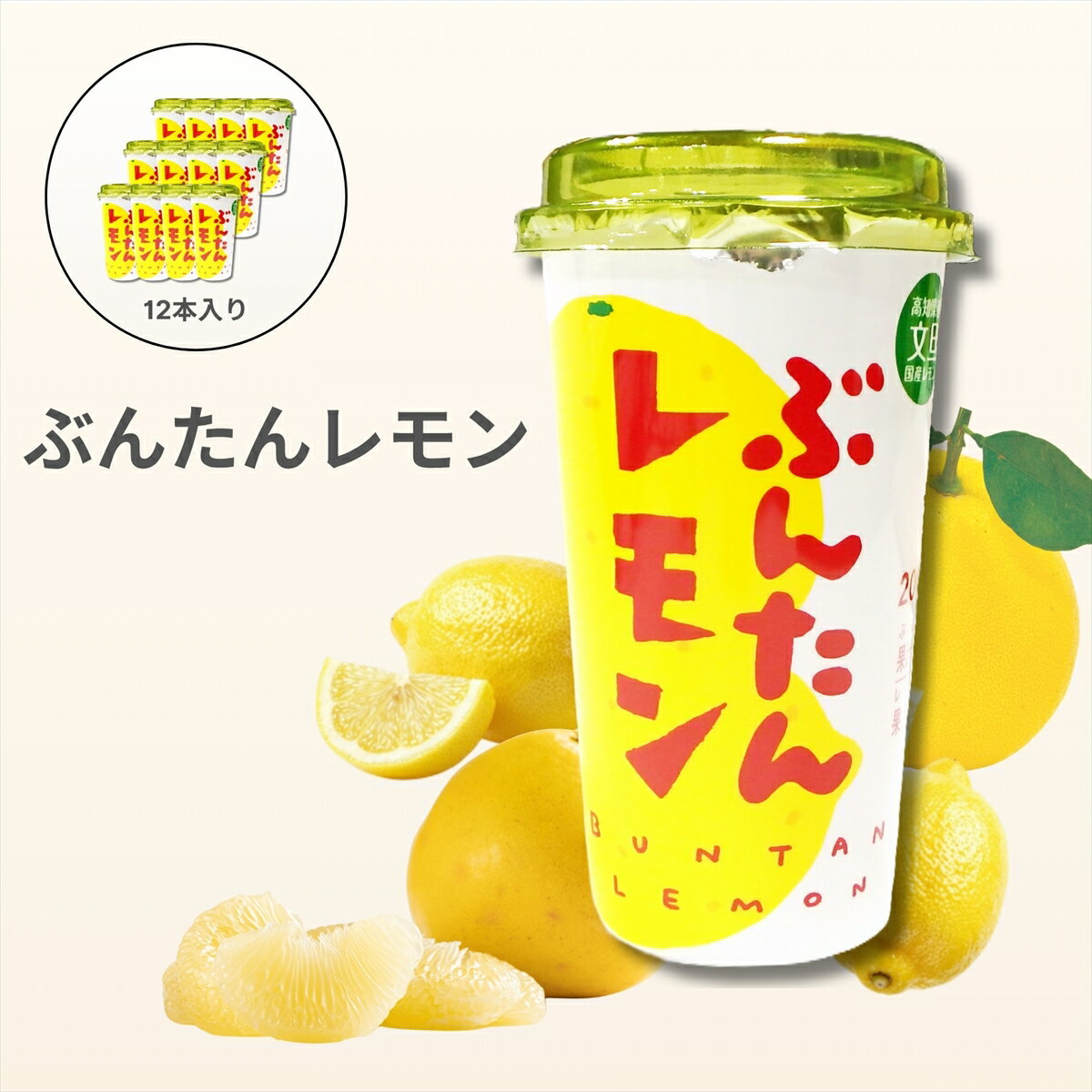 【ふるさと納税】ぶんたんレモン　ストロータイプ　200ml　12本入り（高知アイス）