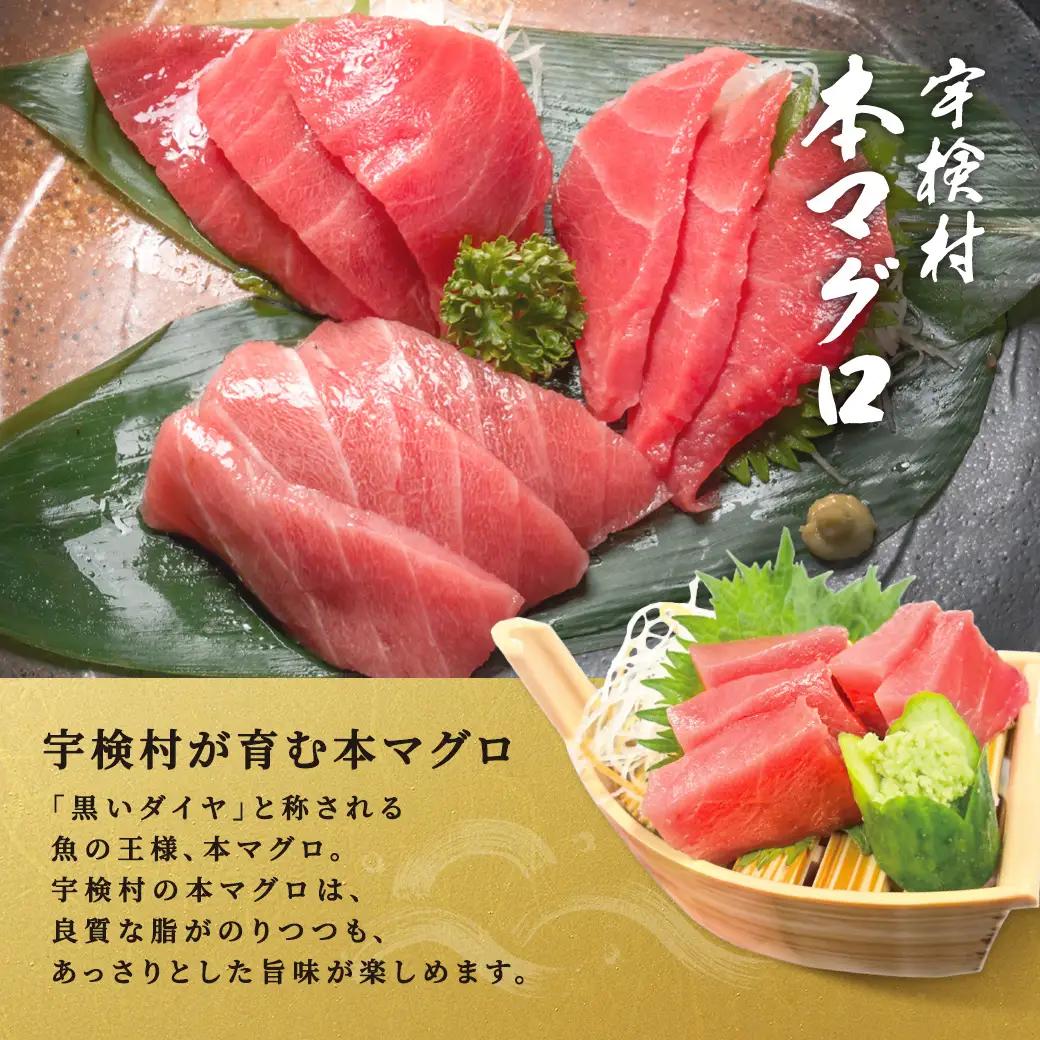 【 宇検村産 】 本マグロ 【1本 約 55 ~ 60 kg】一匹 冷蔵 マグロ まぐろ 鮪 本鮪 本マグロ 養殖 内臓抜き 尾なし 姿 トロ 中トロ 中とろ 大トロ 大とろ 赤身 中落とし 刺身 カ