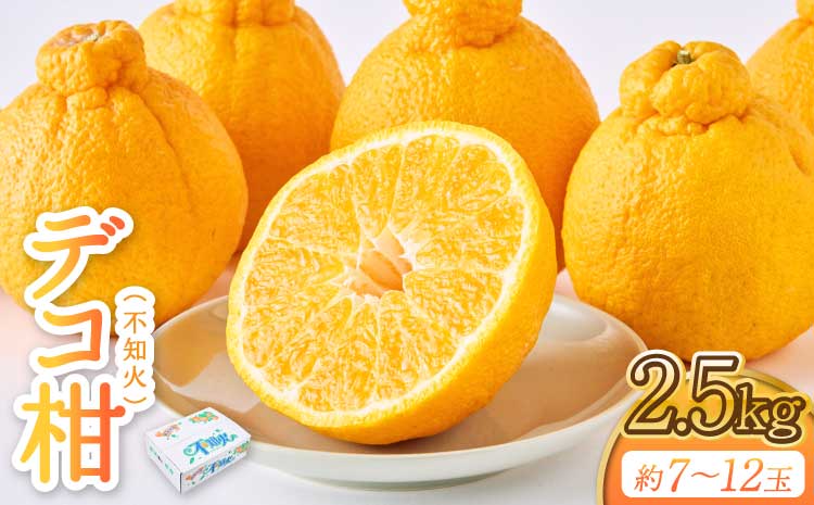 先行予約 不知火 果実の宝箱デコ柑不知火 約2.5kg 7玉〜12玉 【2026年3月上旬から5月下旬発送予定】 しらぬい 柑橘 みかん ミカン 蜜柑 果物 くだもの フルーツ 九州産 熊本県産 宇城市産 国産 田辺農園