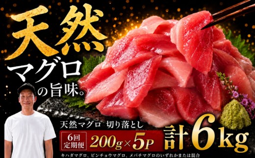 【6回定期便】天然マグロ切り落とし 200g×5P│天然マグロ 切り落とし 刺身 マグロ丼 冷凍 高知県 ふるさと納税 キハダマグロ ビンチョウマグロ メバチマグロ 海鮮 お取り寄せ グルメ 時短 簡単調理 解凍するだけ 一口サイズ 手巻き寿司 具材 ユッケ カルパッチョ 漬け丼 おかず おつまみ ギフト 贈答 贅沢 人気 おすすめ 産地直送 新鮮 晩酌 魚介