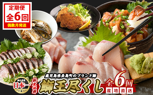 ＜定期便・2ヶ月毎 全6回＞ 鰤づくしの定期便 長島町特産「鰤王」新物鰤 ロイン フィレ 鰤カツ 漬け鰤 あら煮 鰤王タタキ 国産 鹿児島県産 産地直送【JFA】_jfa-1388B