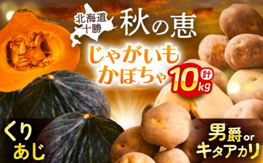 北海道産 じゃがいも＆かぼちゃ 計10kg（じゃがいも6-7kg・かぼちゃ3-4kg）《足寄町》【党崎農場】[BEAA009]ジャガイモ じゃがいも 食べ比べ かぼちゃ 野菜 ポテト 芋 イモ いも ハロウィン あしょろ 北海道 13000 13000円