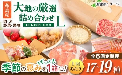 【全6回定期便】糸島産 肉 米 野菜 果物 厳選詰め合わせ MINORI BOX Lサイズ 糸島市 / emma.Inc / 米 肉 野菜 果物 詰め合わせ [AOP017]