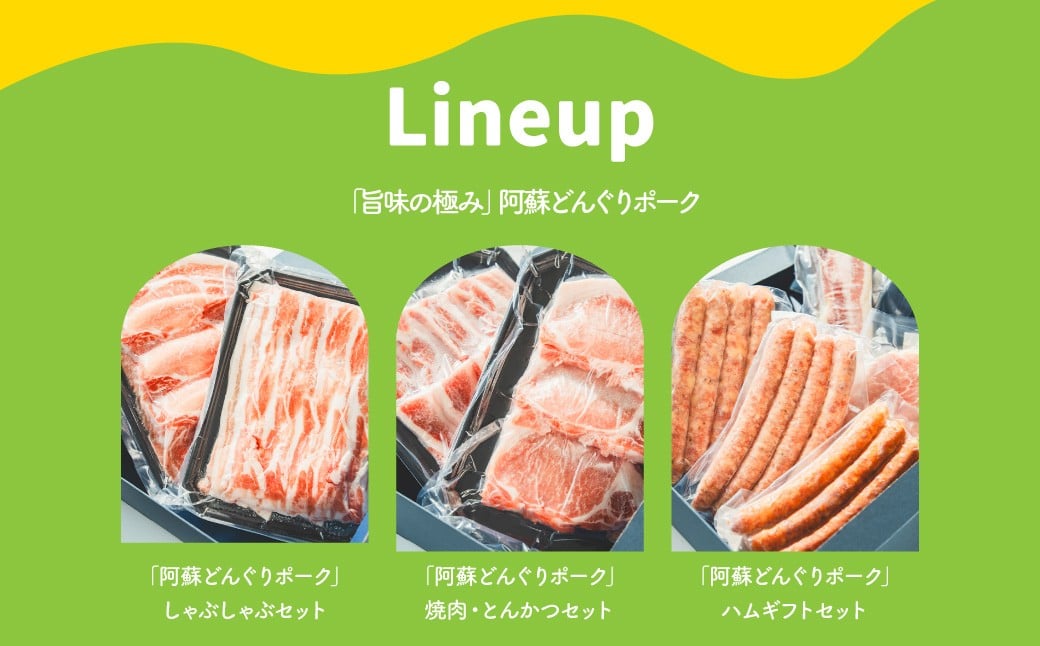 【年3回連続定期便】スザンヌが選ぶ熊本ギフト どんぐりポーク定期便3ヶ月