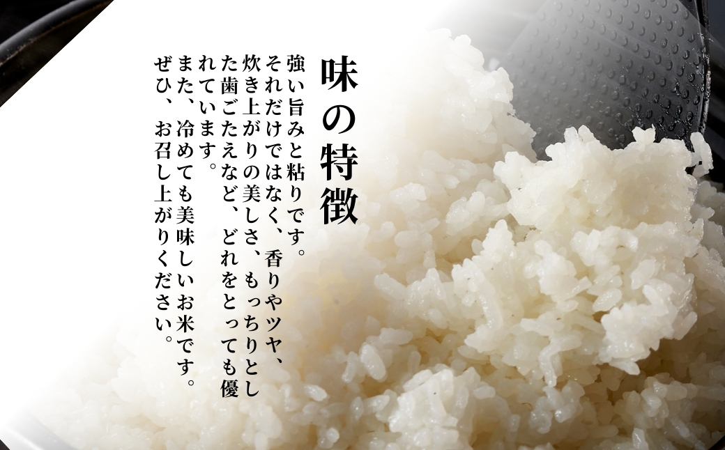 令和7年産特別栽培米コシヒカリ 伊彌彦米 10kg(5kg×2袋) | 新潟県産 米 お米 白米 コシヒカリ 精米 特別栽培米 伊彌彦米 10kg 送料無料 新潟県 弥彦村