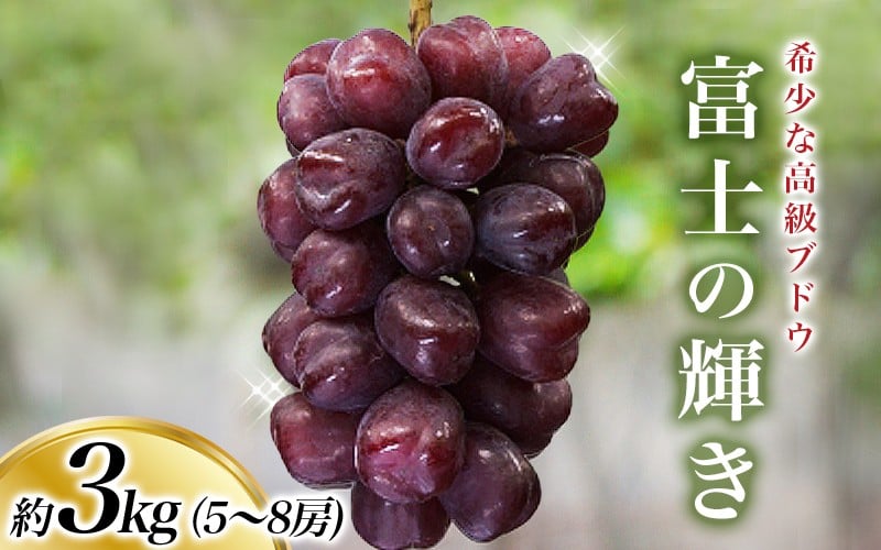 
            ＜早いもの勝ち !＞【先行予約】富士の輝き 3kg 5～8房※2026年9月頃発送予定 / ブラックシャイン ブラックシャインマスカットシャイン 富士の輝 葡萄 ブドウ  田辺市 和歌山県【kkb005-2】
          