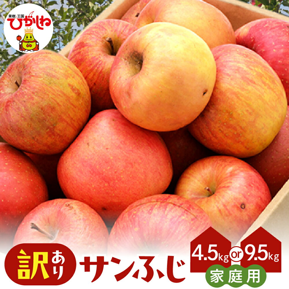 【ふるさと納税】 2026年産 訳あり りんご サンふじ ( 選べる : 4.5kg / 9.5kg )| リンゴ アップル さんふじ 家庭用 傷 規格外 不揃い フルーツ 果物 くだもの 化粧箱 期間限定 産地直産 ご当地 お取り寄せグルメ 大容量 送料無料 国産 東北 山形県 東根市