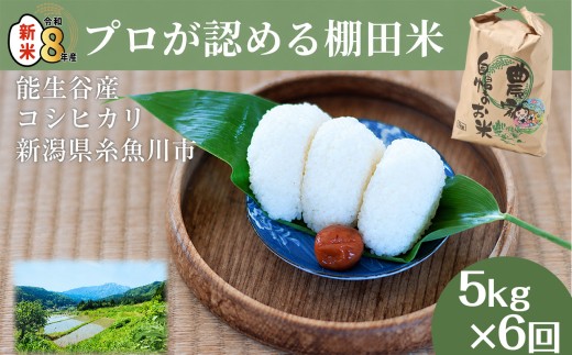 令和8年産新米【定期便】新潟県能生谷産コシヒカリ 5kg×6ヶ月 計30kg プロも認める棚田米 農家直送 2026年産 JATs有限会社【新潟県能生谷産 農家直送 米 お米 ご飯 ライス ふるさと納税米 食品 人気 おすすめ こしひかり ギフト 5キロ 毎月配送 精米 白米 人気 精米 6回 6か月】