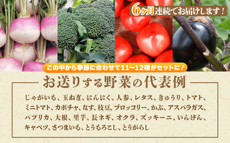 ＜6ヵ月定期便＞旬の野菜詰め合わせ 11～12種 |野菜セット 詰め合わせ 定期便