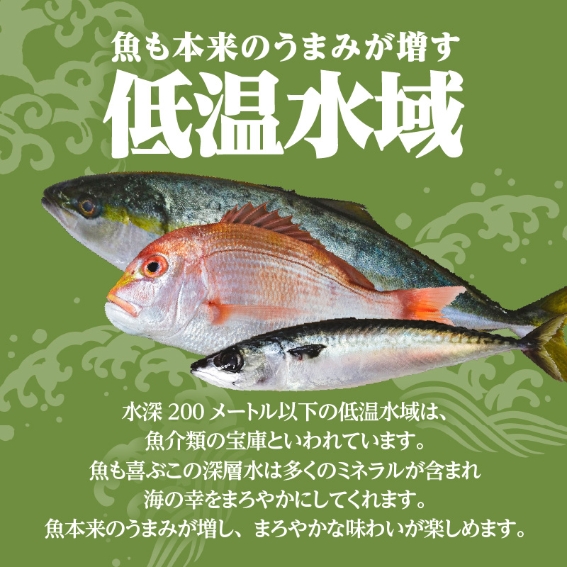【海幸】簡単・便利 お魚惣菜 5種 詰め合わせ（FO-01）　K065-004