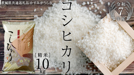 ≪ 令和7年度 新米 先行予約 ≫ コシヒカリ 精米 10kg ( 10kg × 1袋 ) (茨城県共通返礼品 かすみがうら市) 米 ごはん もっちり 甘い コメ お米 白米 [EX002sa]