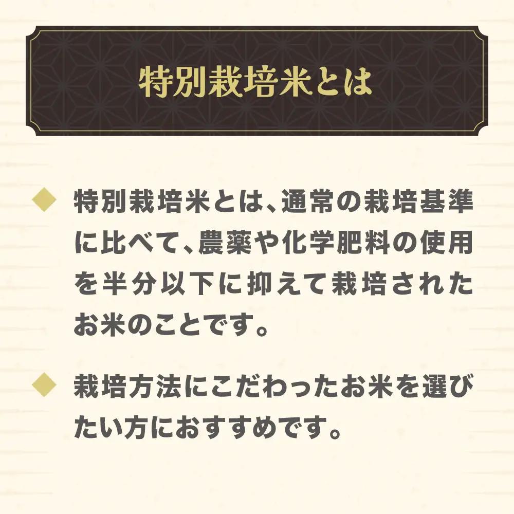 新米 つや姫 精米 10kg 令和8年産 on-tsxxb10