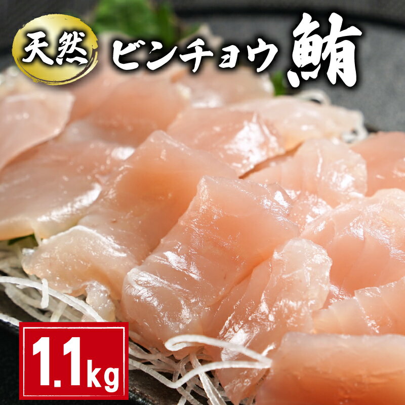 【ふるさと納税】 天然 ビンチョウまぐろ切身 約1.1kg 160g×7パック まぐろ 鮪 刺身 赤身 肉 ビンチョウマグロ ビンチョウ ネギトロ マグロ漬け 海鮮丼 丼 寿司 鉄火丼 手巻き寿司 魚 海鮮 魚介 おつまみ おかず 冷凍 小分け 個包装 お取り寄せ 国産 千葉県 銚子市 和田水産