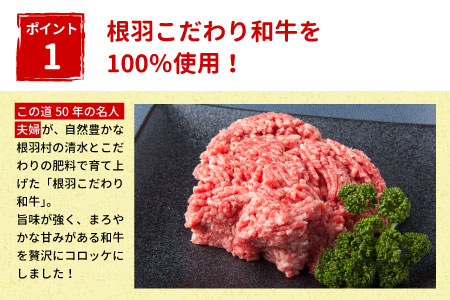 お肉のまろやかな甘み！根羽こだわり和牛コロッケ 20個入り 冷凍  