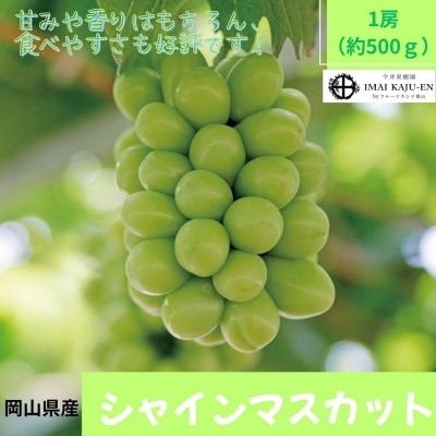 
                  ＜2026年発送＞岡山県産シャインマスカット　1房・約500g(クール便)_シャインマスカット 500g 1房 クール便 贈答用 果物 くだもの フルーツ 葡萄 ぶどう 岡山県 津山市 ギフト プレゼント 産直 産地直送 送料無料【1614353】
                
