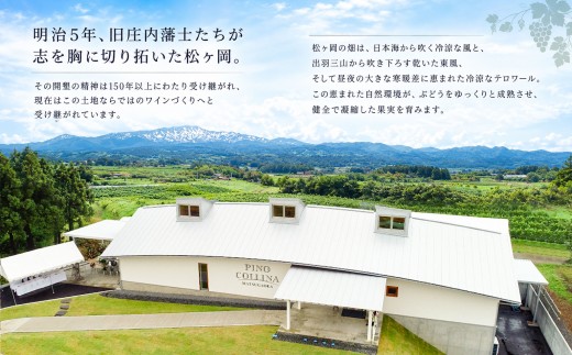 ワイナリー ピノ・コッリーナ　フルフル FrouFrou 赤＆白 2024 2本セット 各750ml　株式会社エルサン 国産 日本ワイン 
