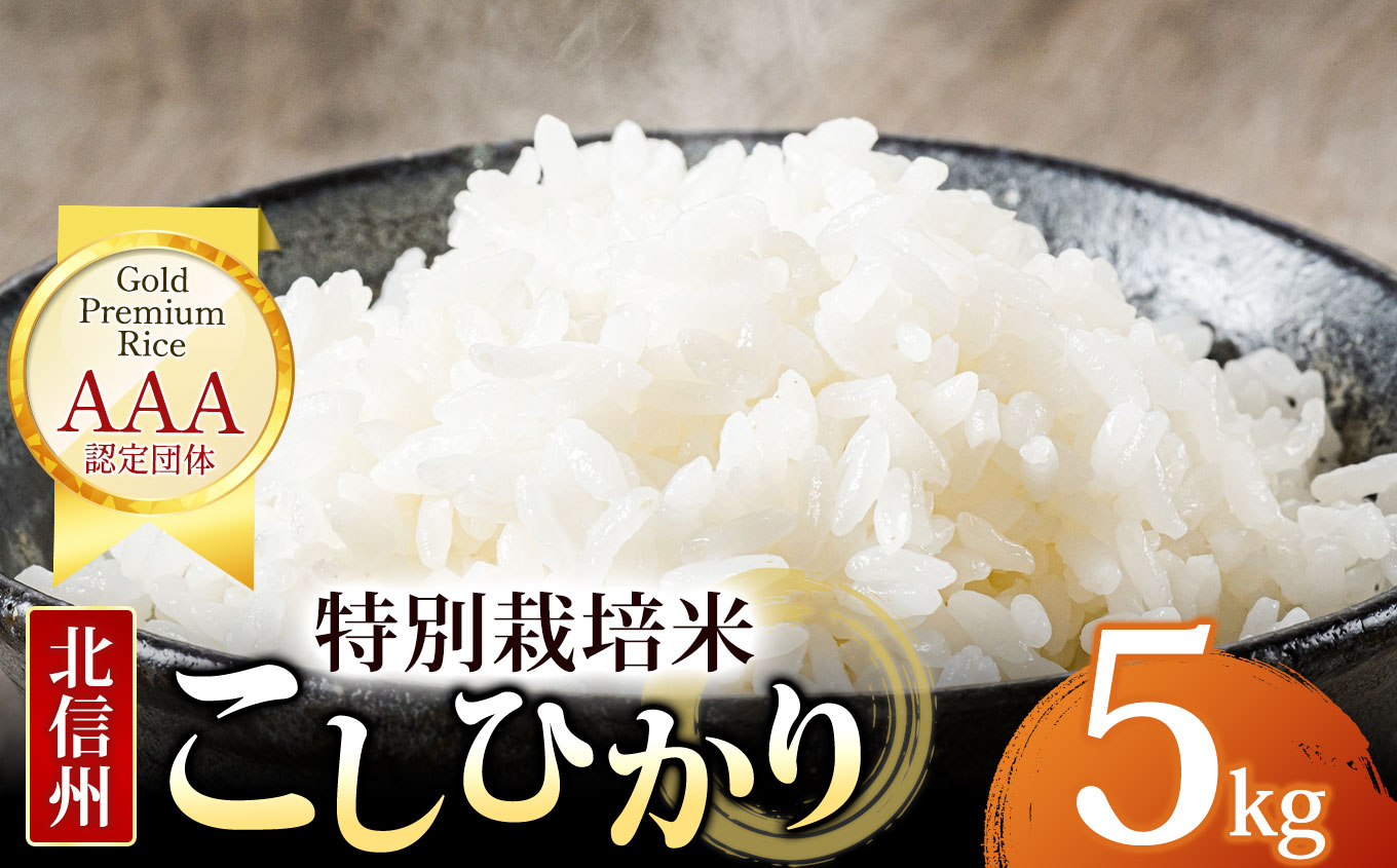 木島平産 コシヒカリ 約5kg | 米 白米 精米 特別栽培米 コシヒカリ こしひかり お米 おこめ 減農薬 長野県 木島平村 信州