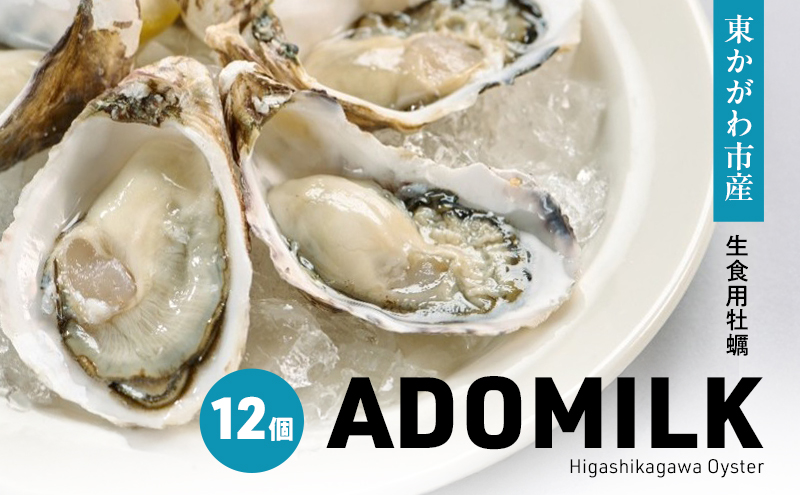 牡蠣 生食用 ADOMILK 香川県産 アドミルク 12個 かき カキ 生牡蠣 殻付き 安戸池 シングルシード スマート養殖 養殖 オイスターナイフ付き 軍手付き 生食 魚介類 海のミルク あどみるく 生かき ソルトレイクひけた 香川 香川県 東かがわ市