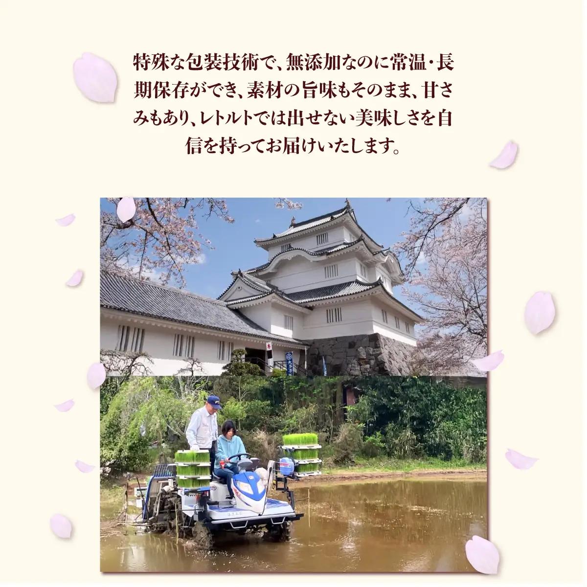 玄米ごはん２００g×３０　ふるさと納税 米 こめ コメ ごはん ご飯 コシヒカリ 玄米 200g 6パック セット 5箱 計30個 長期保存 常温 無添加 お弁当 キャンプ 備蓄 非常食 千葉県 大多