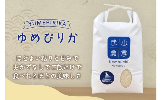 米 令和8年 6回 定期便 ゆめぴりか10kg [武山農園 北海道 剣淵町 14656433 ] 令和8年産 白米 精米 新米 ご飯 ごはん コメ こめ 国産 10キロ 定期