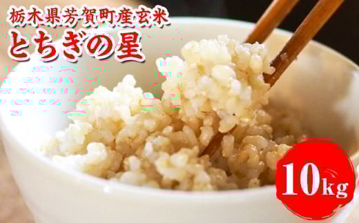 【先行予約】令和7年度産 とちぎの星10kg 栃木県芳賀町産玄米 | 米 お米 玄米 令和7年産 新米 とちぎの星 国産 単一米 期間限定 季節限定※2025年9月中旬～10月下旬頃に順次発送予定