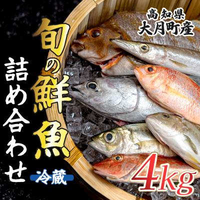 ふるさと納税 大月町 高知県産 鮮魚 詰め合わせ便 4kg 谷鮮魚食堂 刺し身 煮付け 産地直送 生魚 刺身 刺し身