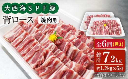 【月1回1.2kg×6回定期便】大西海SPF豚 背ロース（焼肉用）計7.2kg 訳あり ＜大西海ファーム＞ [CEK097]
