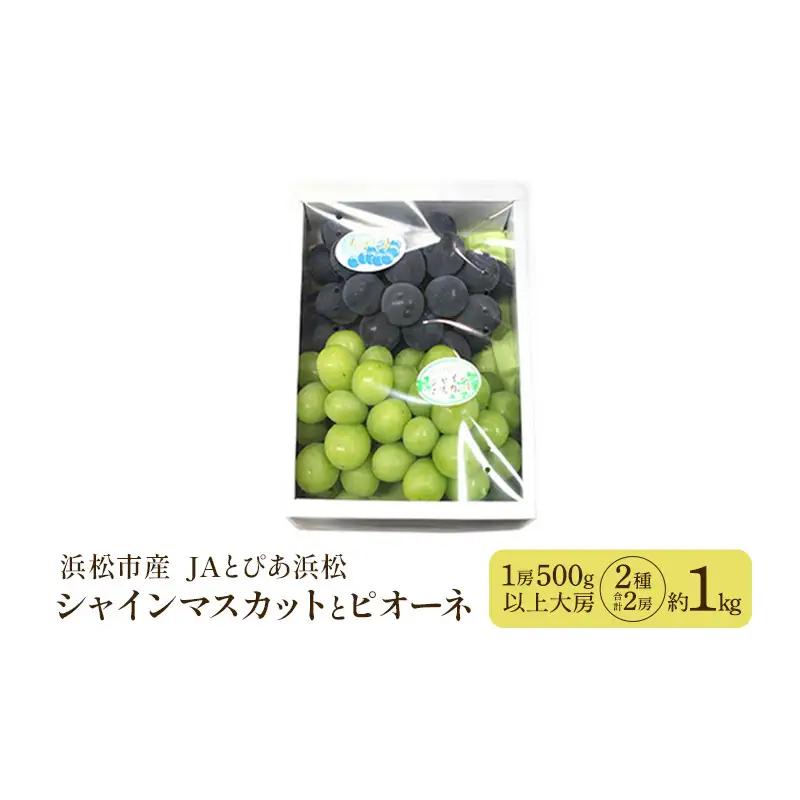 【浜松市産 JAとぴあ浜松】シャインマスカットとピオーネ 1房500g以上大房×2種 合計2房（約1kg） シャインマスカット ピオーネ ぶどう 葡萄 フルーツ プレゼント お中元 クール 静岡 浜松