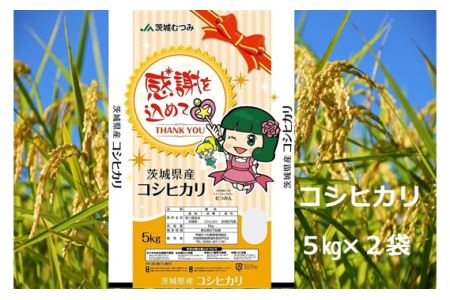 【令和7年産】茨城県産コシヒカリ10kg（5kg×2袋）精米 JA茨城むつみ ／ こしひかり 令和7年 新米 米 お米 おこめ こめ コメ 精米 白米 ご飯 国産米 10kg 10キロ おいしい お取り寄せ 産地直送 産直 坂東市産 茨城県産 茨城産 茨城県 特産品 No.179