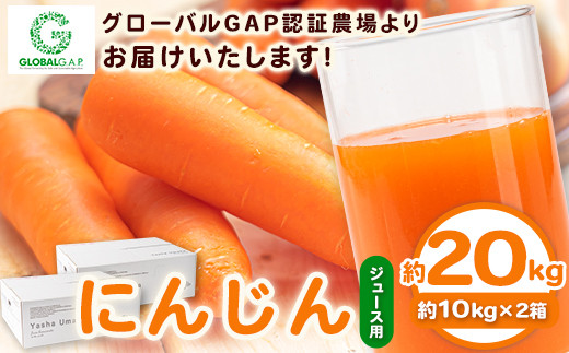 
                  熊本県 御船町 にんじん ジュース用 約20kg 有限会社ニシムラ《30日以内に出荷予定(土日祝除く)》人参 ニンジン
                