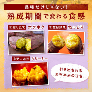 ＜てんとうむしばたけ＞有機さつまいも(紅はるか)5kg