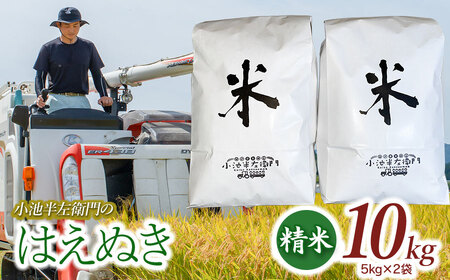 数量限定 【令和7年産先行予約】 山形県庄内産 小池半左衛門のお米 はえぬき 精米 10kg (5kg×2袋)　