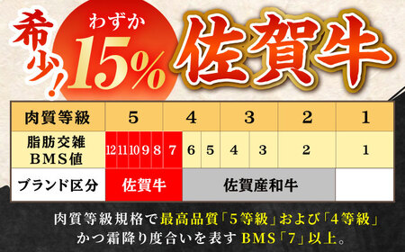 【全12回定期便】おふたりさま向け 佐賀牛 普段使いセットA【田中畜産牛肉店】黒毛和牛 切り落とし 赤身 ロース 角切り[HBH069] 佐賀牛 牛肉 黒毛和牛 佐賀牛 牛肉 和牛 佐賀牛 牛肉 冷凍
