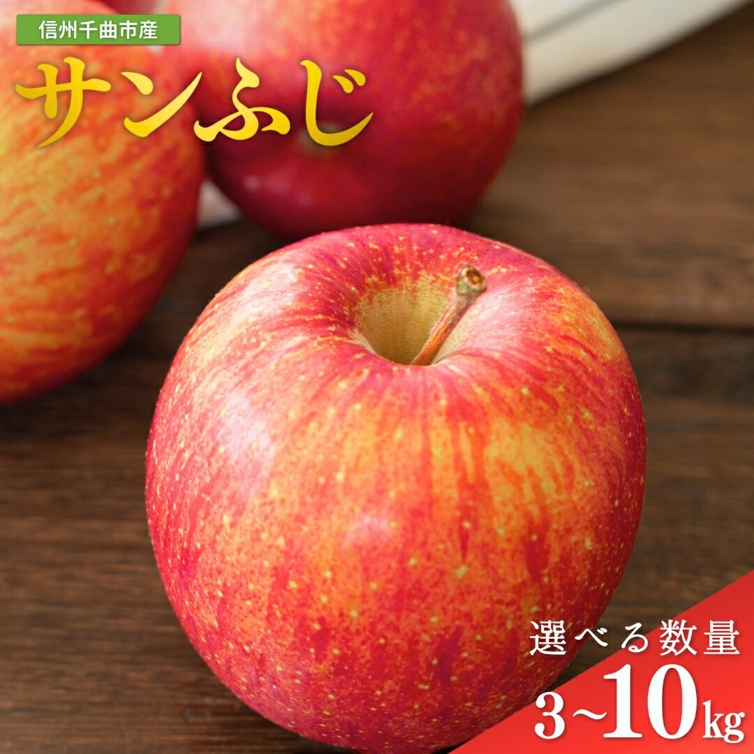 【ふるさと納税】りんご サンふじ 蜜入り 約 3kg / 5kg / 10kg | 林檎 リンゴ アップル 果物 くだもの フルーツ ふじ フジ さんふじ 富士 3キロ 5キロ 10キロ 人気 おすすめ お取り寄せ 産地直送 長野県産 信州林檎 信州りんご 信州 長野 千曲市 送料無料 中島農園